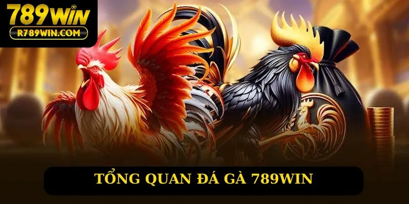 Tổng quan về đá gà 789win