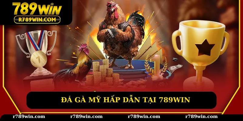 Đá gà mỹ hấp dẫn tại 789win