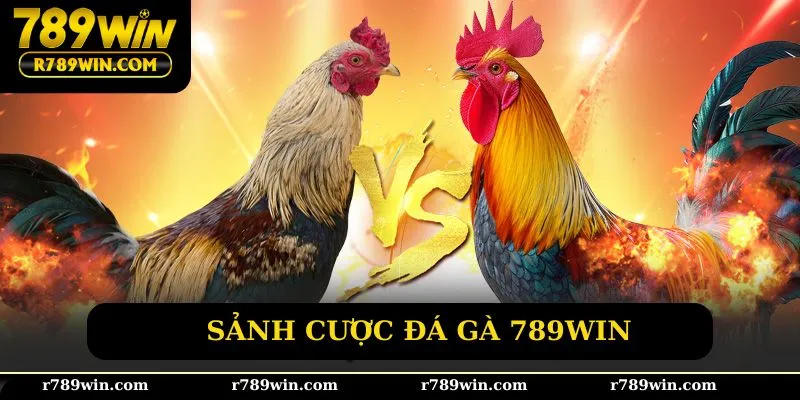 Sảnh cược đá gà 789win