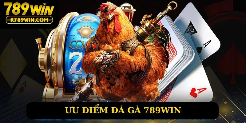 Ưu điểm đá gà 789win